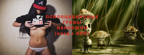 прущий лед Арсеньев