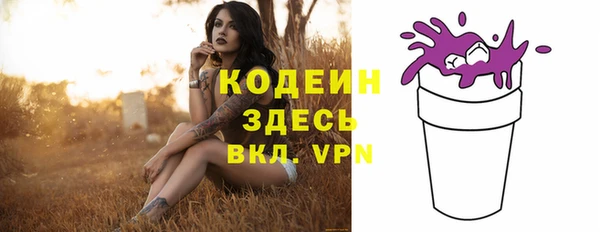 прущий лед Арсеньев