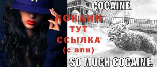 mdpv Горняк