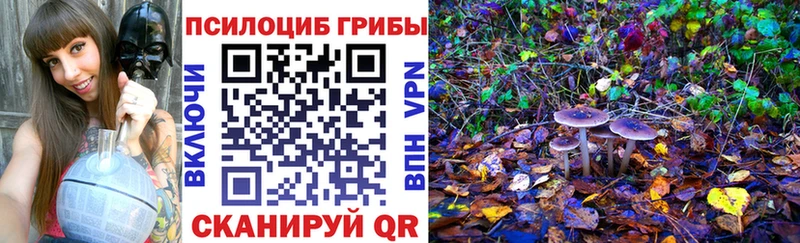 площадка официальный сайт  Байкальск  Галлюциногенные грибы мухоморы 